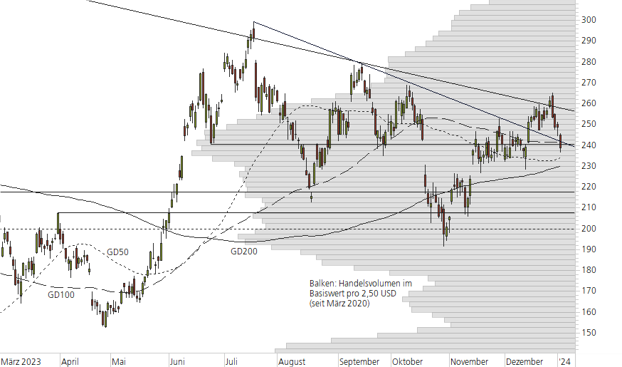 Tesla Inc-10-Monats-Chart