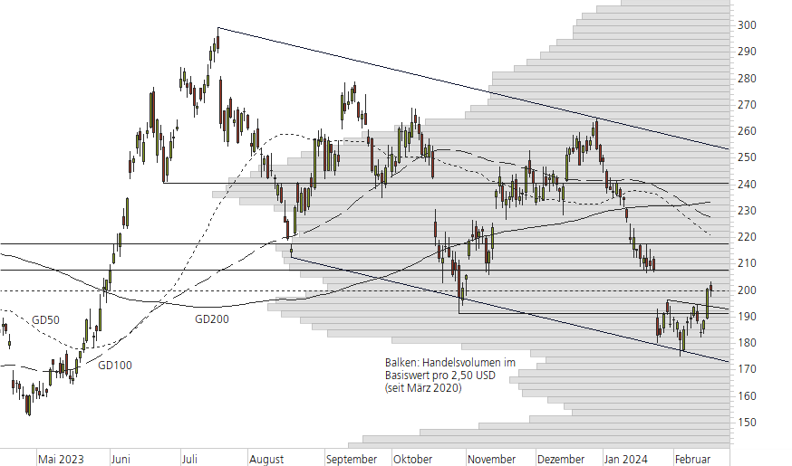 Tesla Inc-10-Monats-Chart