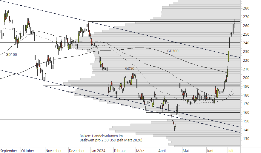 Tesla Inc-10-Monats-Chart