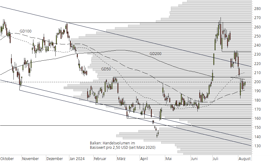 Tesla Inc-10-Monats-Chart