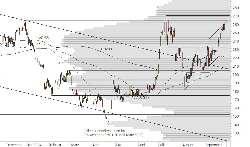 Tesla Inc-10-Monats-Chart