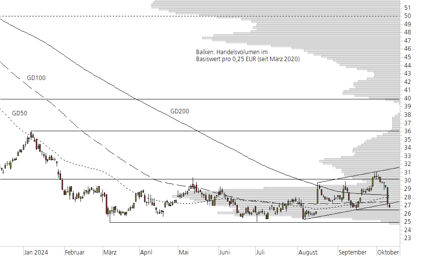 Bayer-10-Monats-Chart